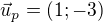 $\vec u_p=(1;-3)$