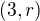 $(3,r)$