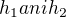 $h_{1} ani h_{2}$