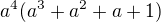 $a^4(a^3+a^2+a+1)$