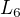 $L_{6}$