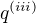 $q^{(iii)}$