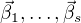 $\vec\beta_1,\dots,\vec\beta_s$
