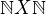 $\mathbb{N}X\mathbb{N}$