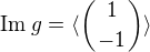 $\mathrm{Im}\;g=\langle\left({1\atop -1}\right)\rangle$