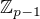$\mathbb Z_{p-1}$