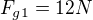 $F_{g1}=12N$