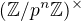 $(\mathbb{Z}/p^n\mathbb{Z})^{\times}$