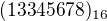 $(13345678)_{16}$