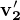$\mathbf{v_2'}$
