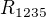 $R_{1235}$