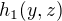 $h_1(y,z)$