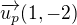 $\overrightarrow{u_p}(1,-2)$