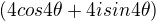 $ (4 cos 4\theta + 4i sin 4\theta) $