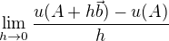$\lim_{h \to 0}\frac{u(A + h\vec{b}) - u(A)}{h} $